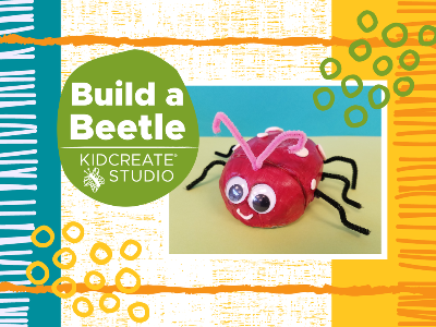 Wednesday Workshop - Build a Beetle (5-10y)