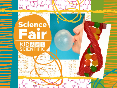 Science Fair at North Branch Education Center